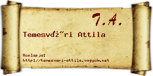 Temesvári Attila névjegykártya