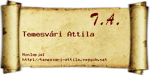 Temesvári Attila névjegykártya