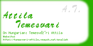 attila temesvari business card